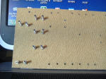DSCF3204.JPG