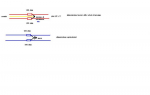 31811512625e.jpg (15.38 KiB) Visto 4948 volte 31811512625e.jpg
