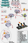 armstrong SUPER WIRING.gif