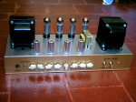 Rose-Shall-01.jpg