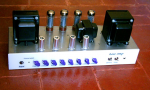 Modern-Rose-03.jpg