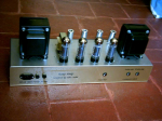 Rose-Shall-02.jpg