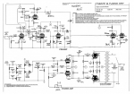 Zintolo's-Rose-amps_0001.jpg