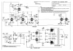 Zintolo's-Rose-amps_0003.jpg