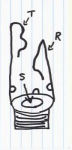 jack.plug.TRS.jpg