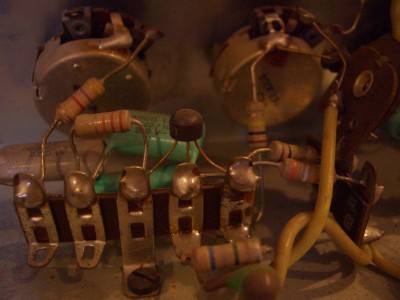 Tremolo da latolo.JPG